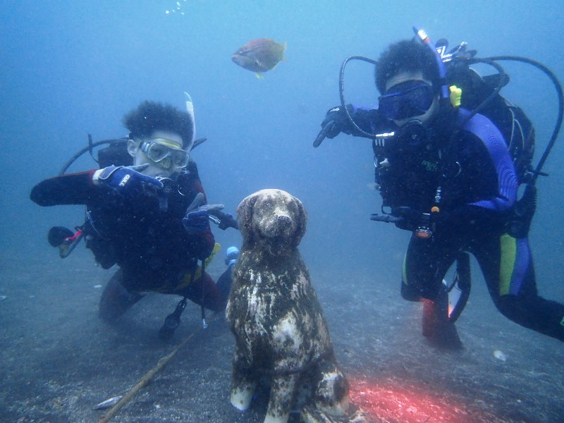 大瀬崎のワンちゃんと…その2