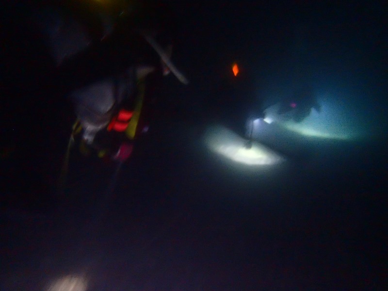 ナイトダイビング