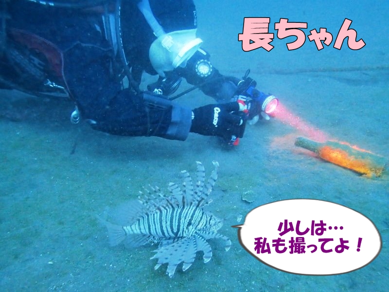 長ちゃんの撮影